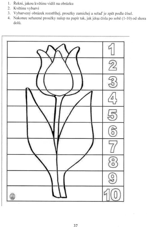 matematka-tulip.jpg